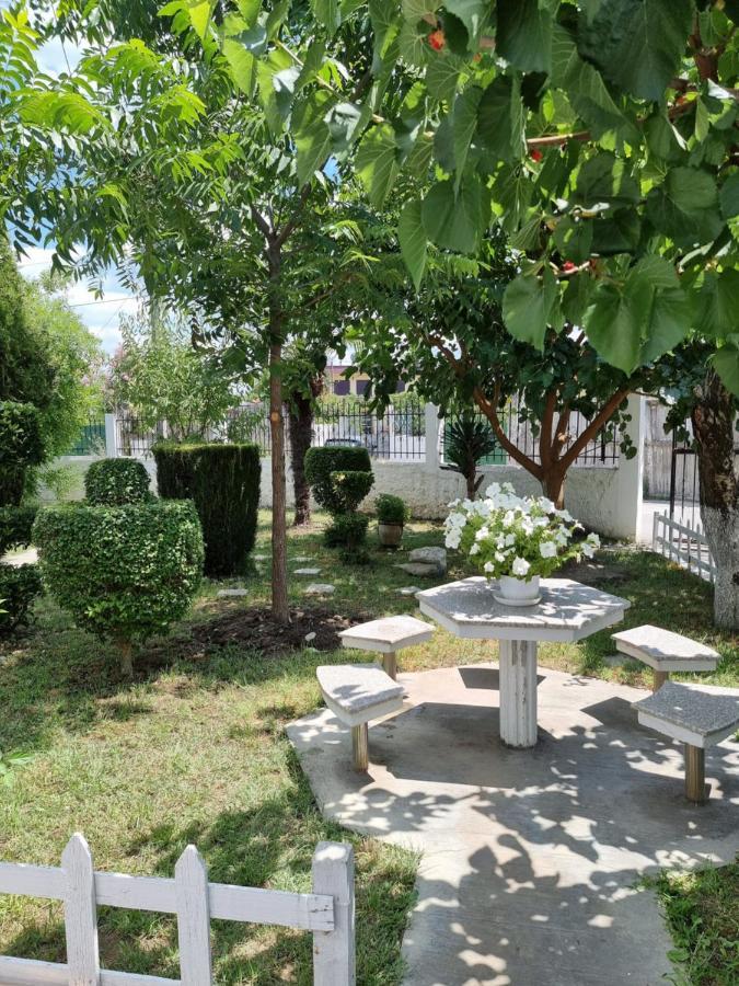 Guest House Vila Elezi Durres Ngoại thất bức ảnh